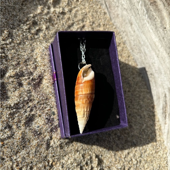 Handmade sea shell necklace - Picture 2 of 3